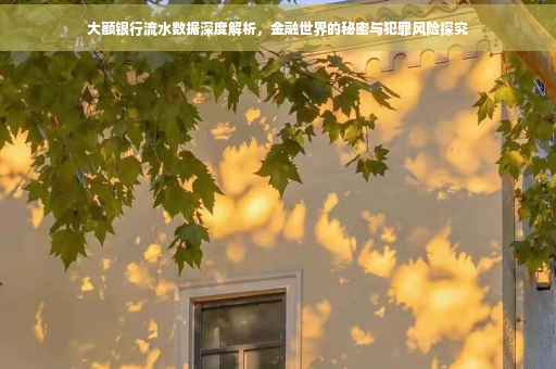 大额银行流水数据深度解析，金融世界的秘密与犯罪风险探究
