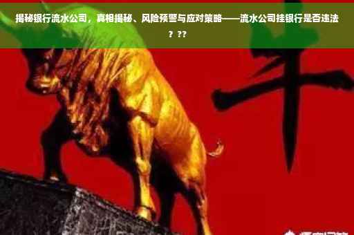 揭秘银行流水公司，真相揭秘、风险预警与应对策略——流水公司挂银行是否违法？??