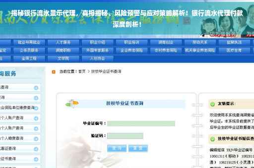 揭秘银行流水显示代理，真相揭秘、风险预警与应对策略解析！银行流水代理付款深度剖析！