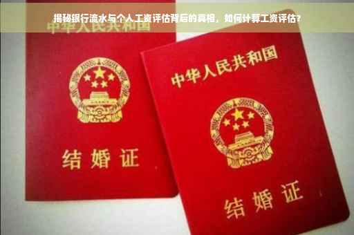 揭秘银行流水与个人工资评估背后的真相，如何计算工资评估？