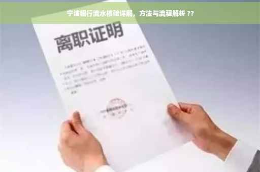 宁波银行流水核验详解，方法与流程解析 ??