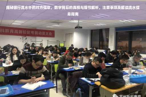 揭秘银行流水中的对方信息，数字背后的真相与细节解析，注意事项及解读流水信息指南