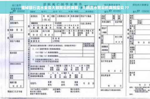 揭秘银行流水全是大额背后的真相，大额流水背后的真相探究 ??