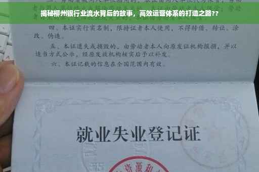 揭秘柳州银行业流水背后的故事，高效运营体系的打造之路??