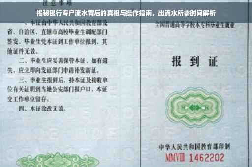 揭秘银行专户流水背后的真相与操作指南，出流水所需时间解析