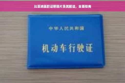 比亚迪离职证明图片及其解读，全面指南