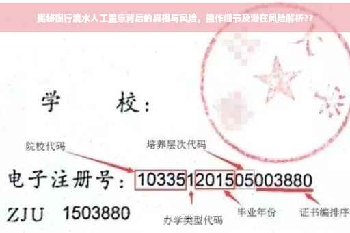 揭秘银行流水人工盖章背后的真相与风险，操作细节及潜在风险解析??