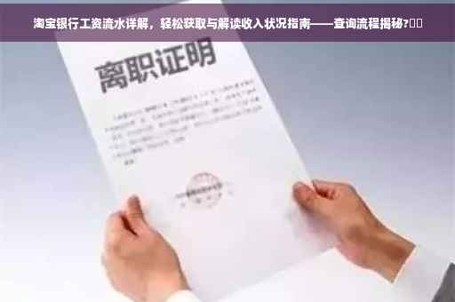 淘宝银行工资流水详解，轻松获取与解读收入状况指南——查询流程揭秘?⚡️