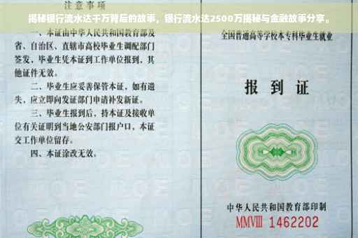 揭秘银行流水达千万背后的故事，银行流水达2500万揭秘与金融故事分享。