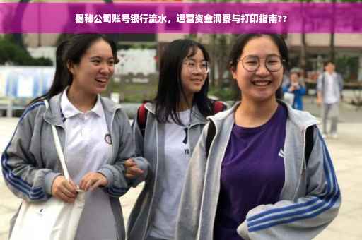 揭秘公司账号银行流水，运营资金洞察与打印指南??