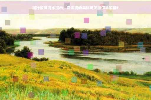 银行放贷流水揭示，资金流动真相与关键信息解读?