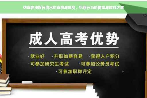 仿真在线银行流水的真相与挑战，犯罪行为的揭露与应对之道