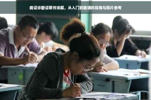 病证诊断证明书详解，从入门到精通的指南与图片参考
