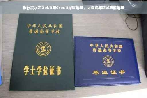 银行流水之Debit与Credit深度解析，可查询年数及功能解析