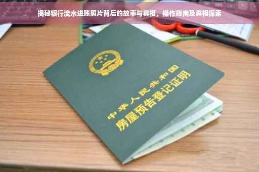 揭秘银行流水进账照片背后的故事与真相，操作指南及真相探索