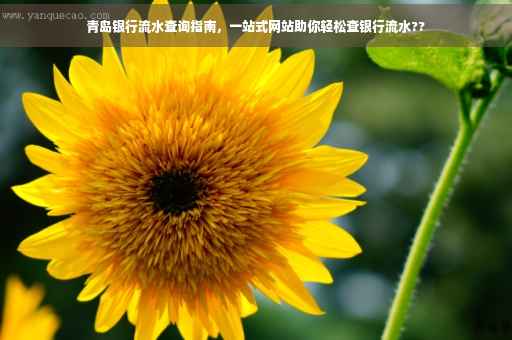 青岛银行流水查询指南，一站式网站助你轻松查银行流水??