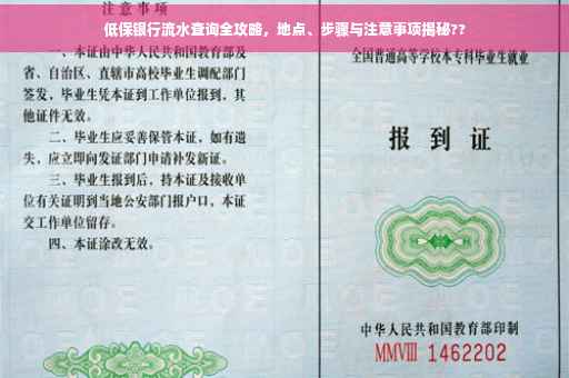 低保银行流水查询全攻略，地点、步骤与注意事项揭秘??