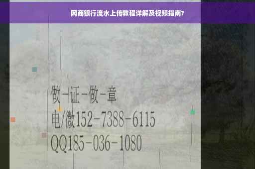 网商银行流水上传教程详解及视频指南?