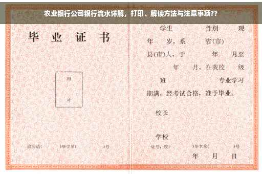农业银行公司银行流水详解，打印、解读方法与注意事项??