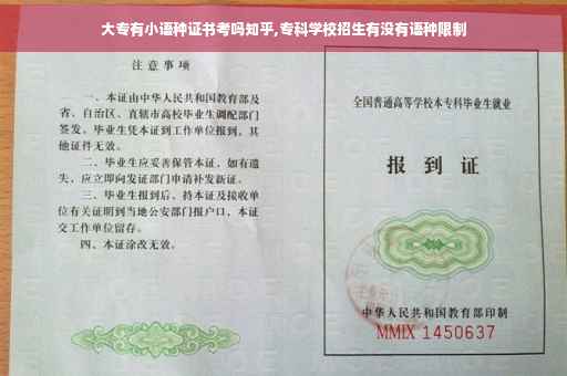大专有小语种证书考吗知乎,专科学校招生有没有语种限制