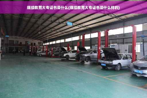 继续教育大专证书是什么(继续教育大专证书是什么样的)