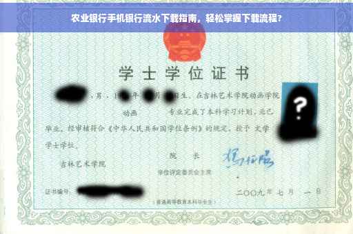 农业银行手机银行流水下载指南，轻松掌握下载流程?