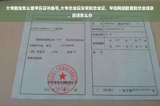 大专新生怎么查学历证书编号,大专毕业后没拿到毕业证，学信网却能查到毕业信息，应该怎么办