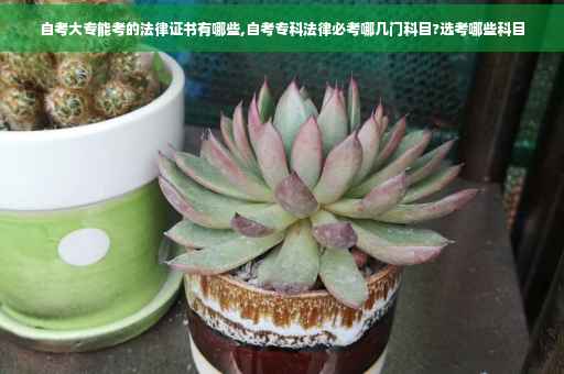 自考大专能考的法律证书有哪些,自考专科法律必考哪几门科目?选考哪些科目
