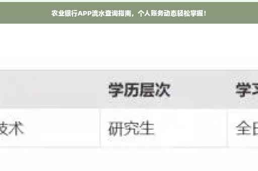 农业银行APP流水查询指南，个人账务动态轻松掌握！