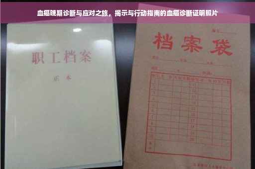 血癌晚期诊断与应对之旅，揭示与行动指南的血癌诊断证明照片