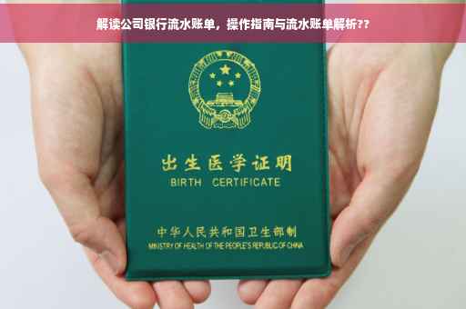 解读公司银行流水账单，操作指南与流水账单解析??