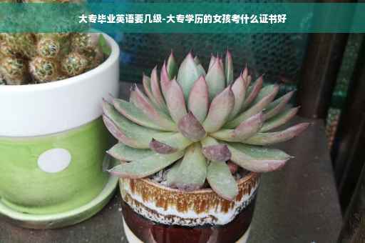 大专毕业英语要几级-大专学历的女孩考什么证书好