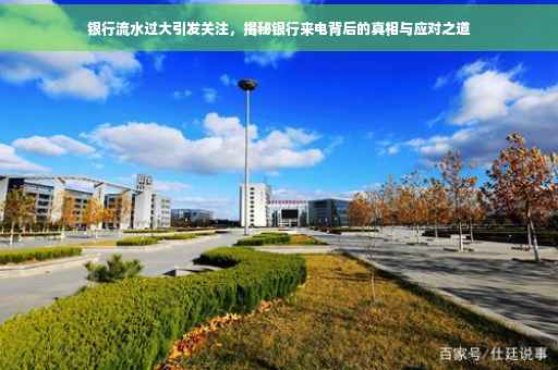 银行流水过大引发关注，揭秘银行来电背后的真相与应对之道