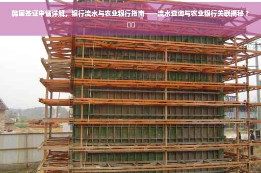 韩国签证申请详解，银行流水与农业银行指南——流水查询与农业银行关联揭秘 ?⚡️