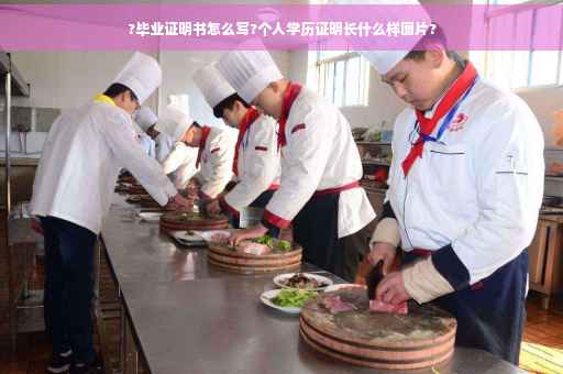 ?毕业证明书怎么写?个人学历证明长什么样图片?