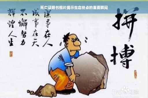 死亡证明书相片揭示生命终点的重要瞬间
