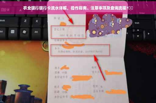 农业银行银行卡流水详解，操作指南、注意事项及查询流程?⚡️