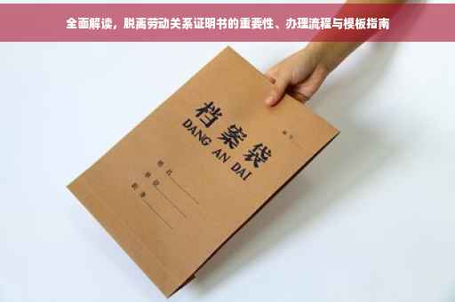 全面解读，脱离劳动关系证明书的重要性、办理流程与模板指南