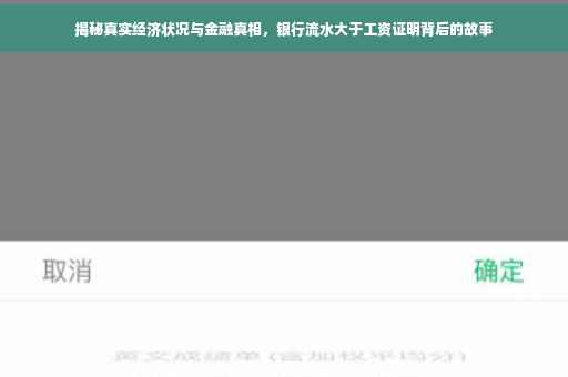 揭秘真实经济状况与金融真相，银行流水大于工资证明背后的故事