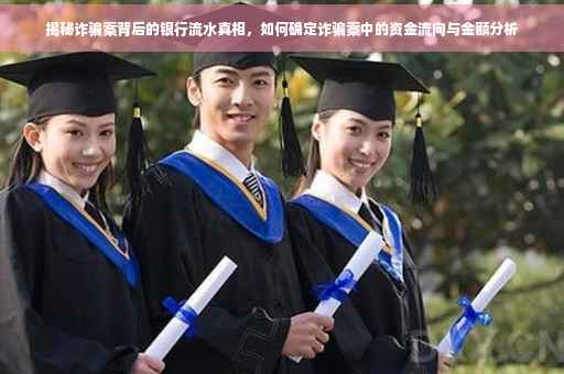 揭秘诈骗案背后的银行流水真相，如何确定诈骗案中的资金流向与金额分析