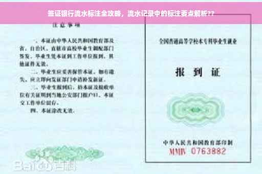 签证银行流水标注全攻略，流水记录中的标注要点解析??