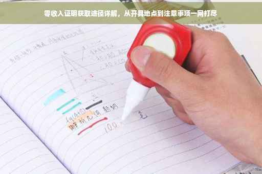 零收入证明获取途径详解，从开具地点到注意事项一网打尽