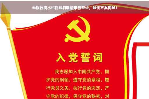 无银行流水也能顺利申请申根签证，替代方案揭秘！