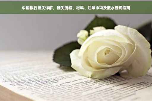中国银行挂失详解，挂失流程、材料、注意事项及流水查询指南