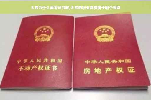 大专为什么要考证书呢,大专的职业资格属于哪个级别