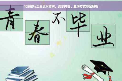 北京银行工资流水详解，流水内容、查询方式等全解析